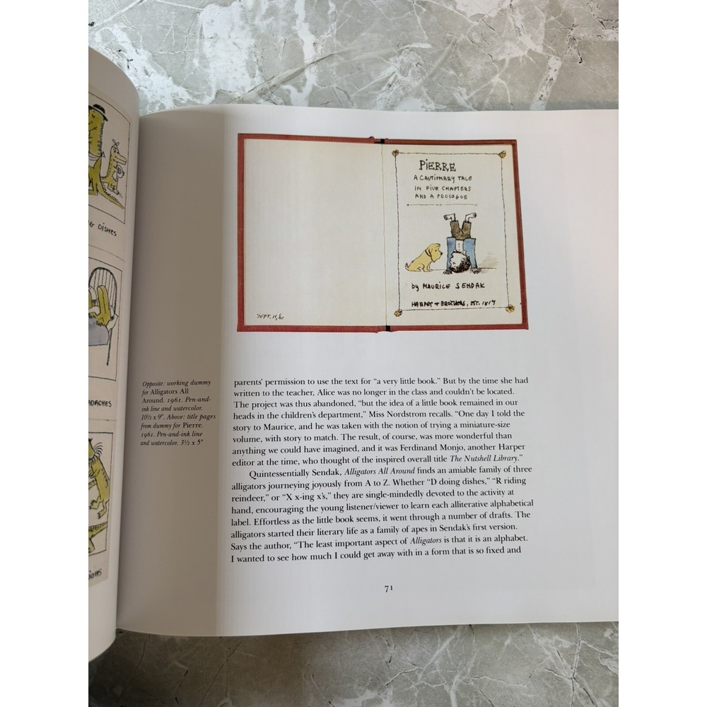 The Art Of Maurice Sendak - Selma G. Lanes - Hardcover - GOOD - Picture 5 of 7